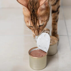 Υγρή τροφή-Kονσέρβες γάτας