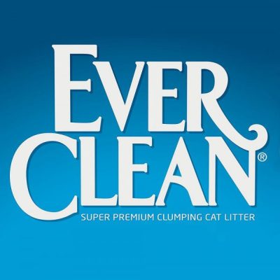 everclean logo