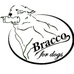 bracco logo