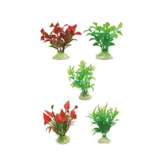 tatrapet-plastiko-diakosmitiko-fyto-enydriou-10cm