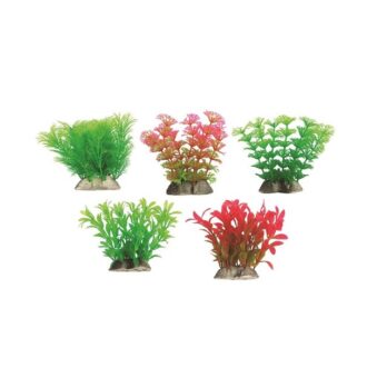 tatrapet-plastiko-diakosmitiko-fyto-enydriou-mix-10cm